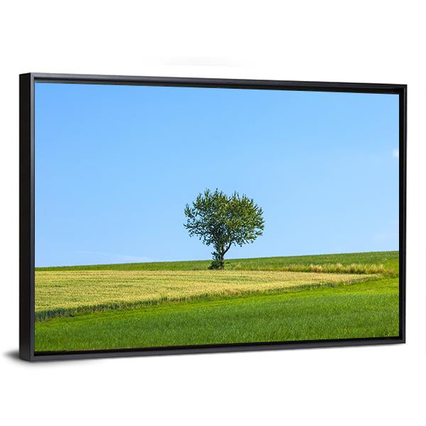Lonely Tree At Meadow Canvas Wall Art-3 Horizontal-Gallery Wrap-25" x 16"-Tiaracle
