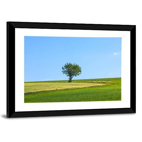 Lonely Tree At Meadow Canvas Wall Art-3 Horizontal-Gallery Wrap-25" x 16"-Tiaracle