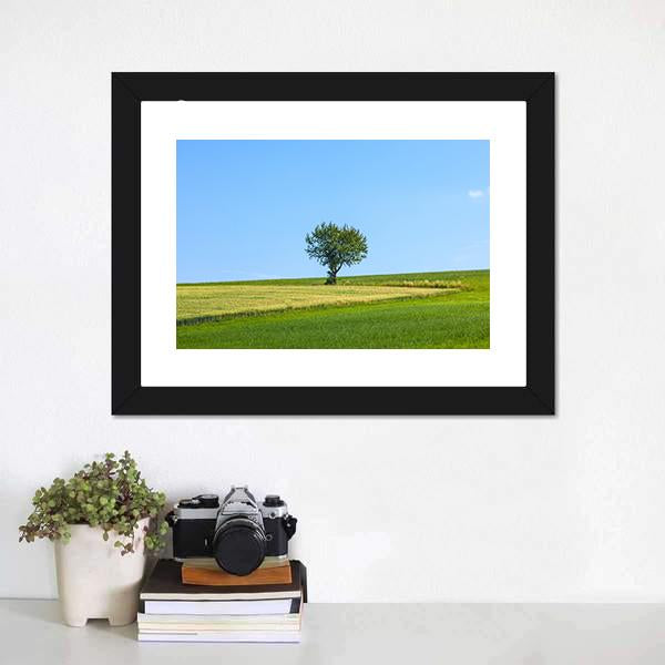 Lonely Tree At Meadow Canvas Wall Art-1 Piece-Framed Print-20" x 16"-Tiaracle