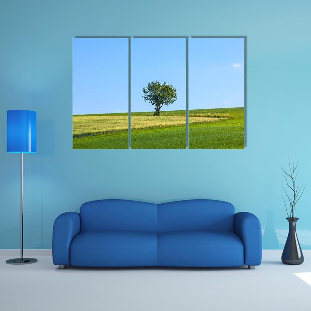 Lonely Tree At Meadow Canvas Wall Art-4 Pop-Gallery Wrap-50" x 32"-Tiaracle