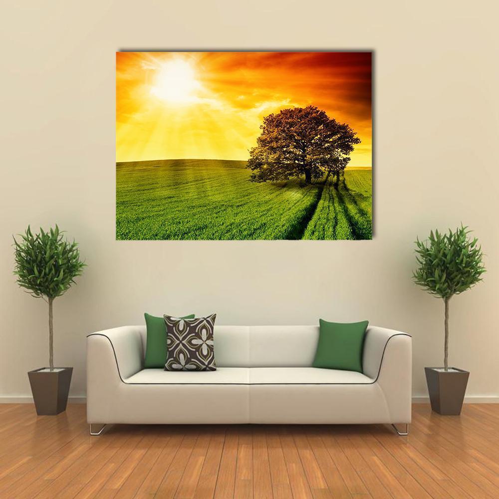 Tree in Field at Sunset Canvas Wall Art in orange, yellow and green, single panel hung on a wall