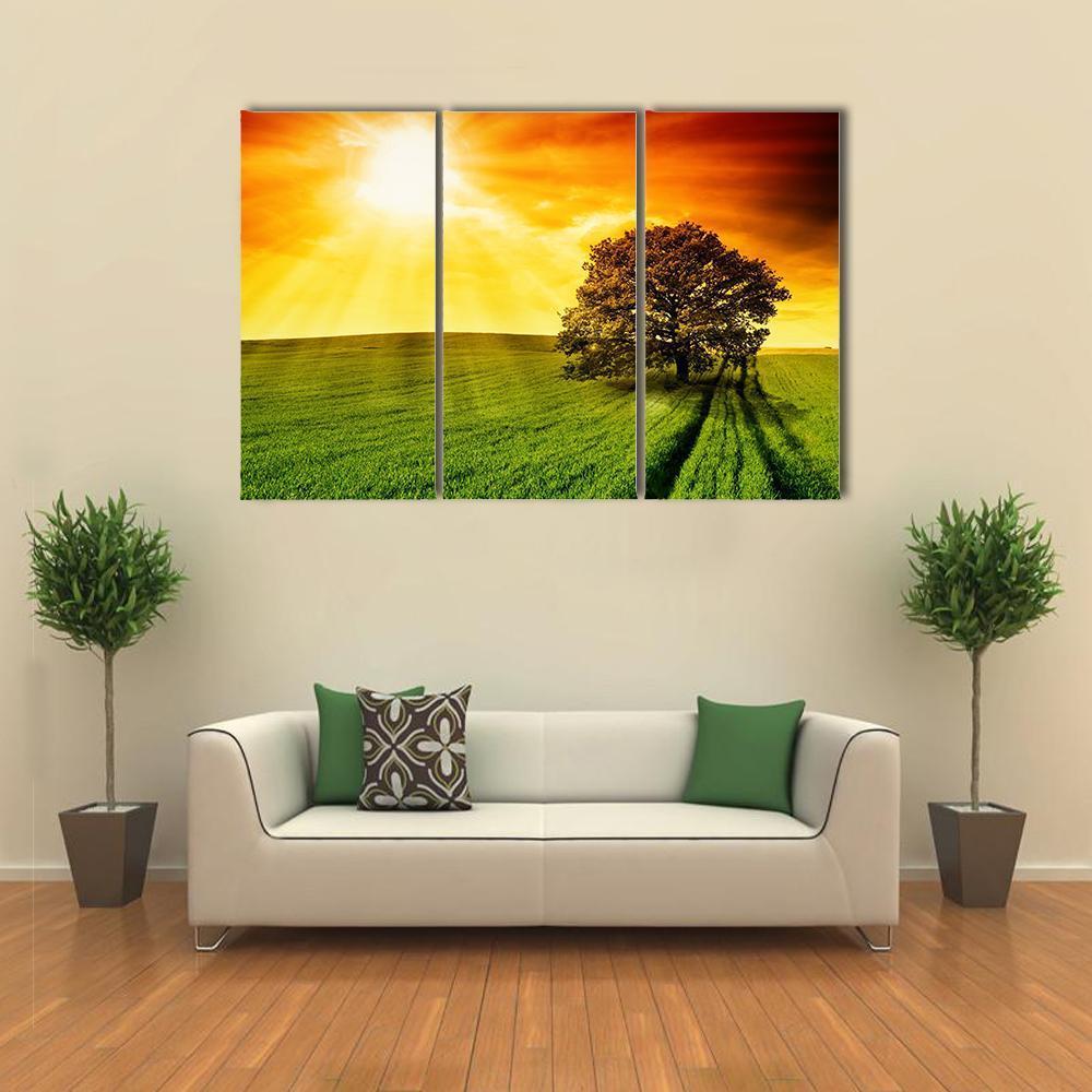Tree In Field At Sunset Canvas Wall Art-3 Horizontal-Gallery Wrap-37" x 24"-Tiaracle