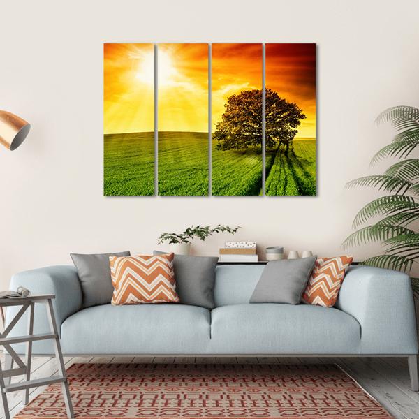 Tree In Field At Sunset Canvas Wall Art-4 Horizontal-Gallery Wrap-34" x 24"-Tiaracle