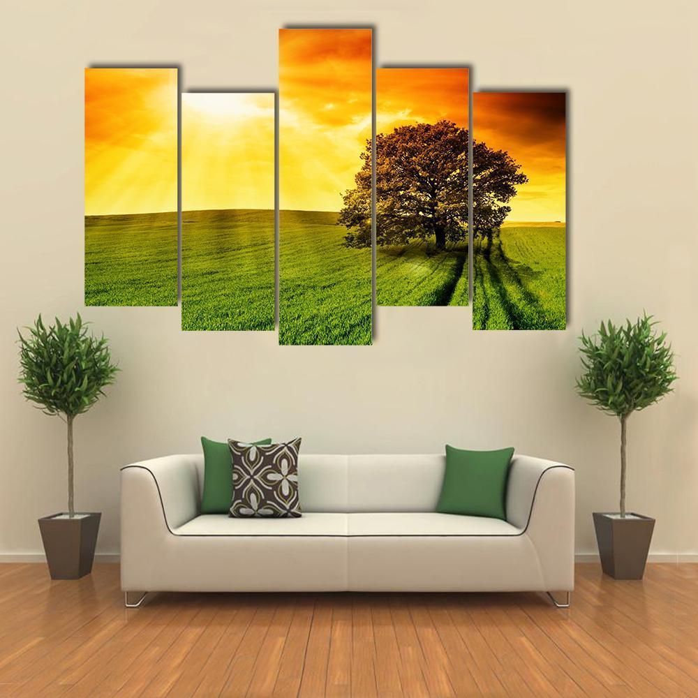 Tree In Field At Sunset Canvas Wall Art-5 Pop-Gallery Wrap-47" x 32"-Tiaracle