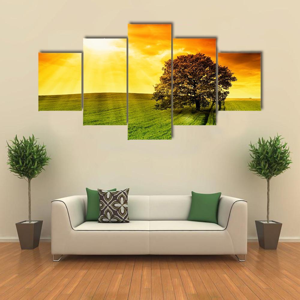 Tree In Field At Sunset Canvas Wall Art-5 Star-Gallery Wrap-62" x 32"-Tiaracle