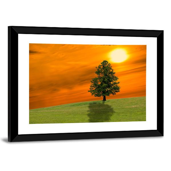 Lonely Tree On Field Canvas Wall Art-3 Horizontal-Gallery Wrap-25" x 16"-Tiaracle