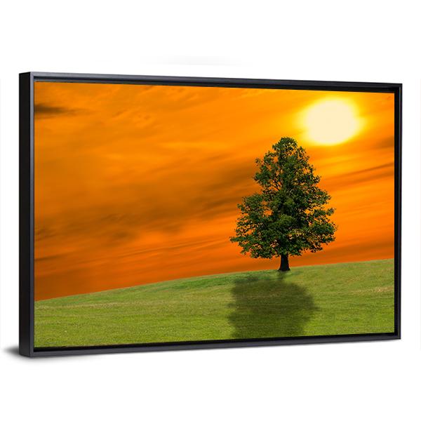 Lonely Tree On Field Canvas Wall Art-5 Horizontal-Gallery Wrap-22" x 12"-Tiaracle