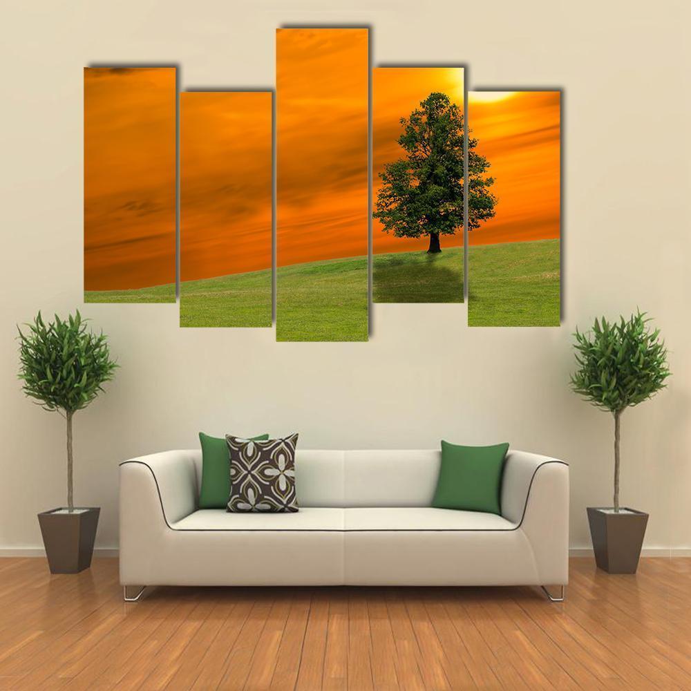 Lonely Tree On Field Canvas Wall Art-5 Pop-Gallery Wrap-47" x 32"-Tiaracle