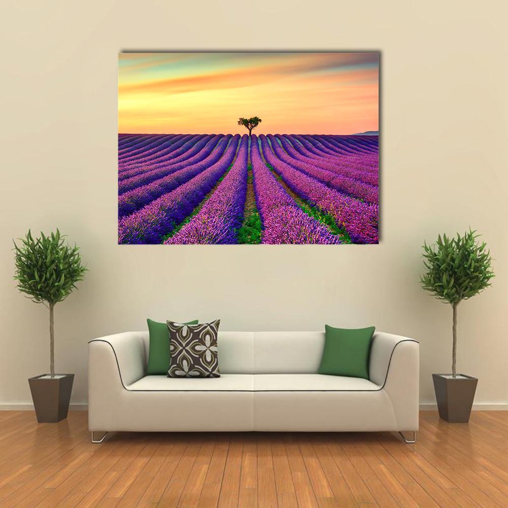 Tree in Lavender Field at Sunset Canvas Wall Art in orange, yellow and purple, single panel hung on a wall