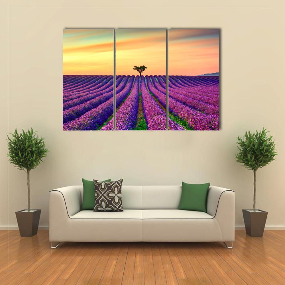 Tree In Lavender Field Canvas Wall Art-3 Horizontal-Gallery Wrap-37" x 24"-Tiaracle