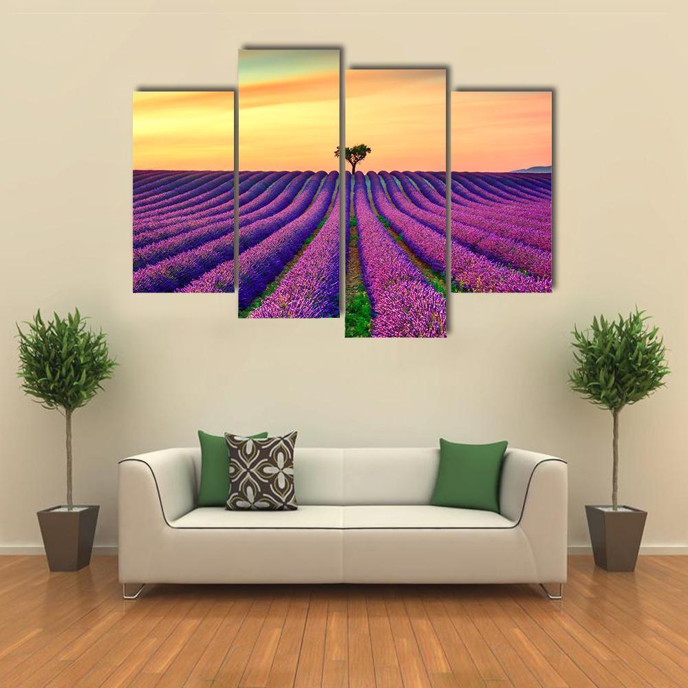Tree In Lavender Field Canvas Wall Art-4 Pop-Gallery Wrap-50" x 32"-Tiaracle
