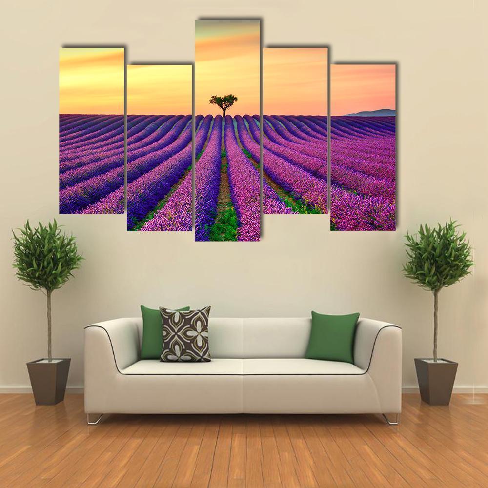 Tree In Lavender Field Canvas Wall Art-5 Pop-Gallery Wrap-47" x 32"-Tiaracle