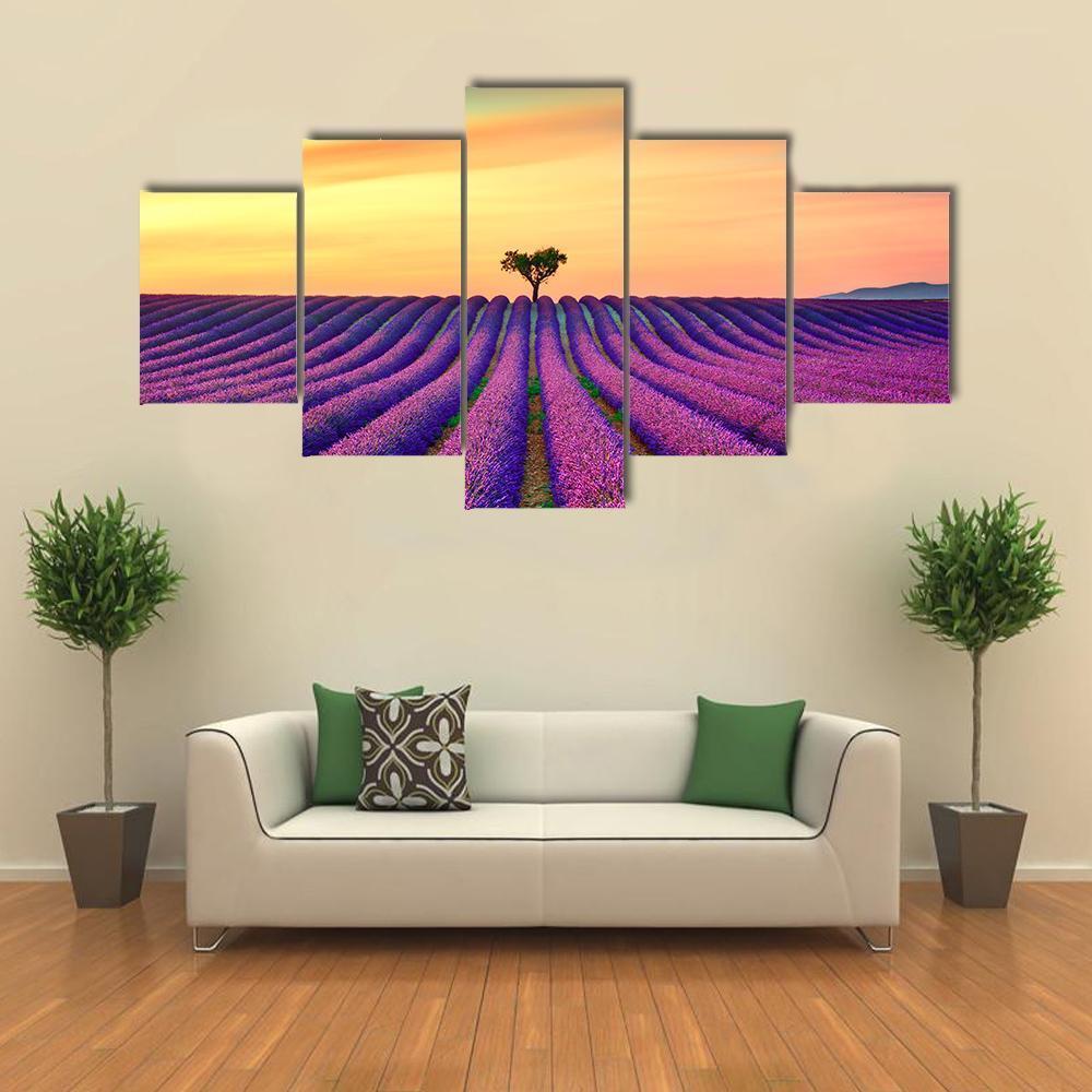 Tree In Lavender Field Canvas Wall Art-5 Star-Gallery Wrap-62" x 32"-Tiaracle
