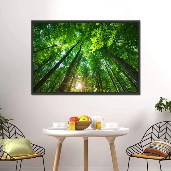 Long Trees In Forest Canvas Wall Art-3 Horizontal-Gallery Wrap-25&quot; x 16&quot;-Tiaracle