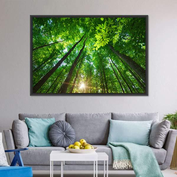 Long Trees In Forest Canvas Wall Art-3 Horizontal-Gallery Wrap-25&quot; x 16&quot;-Tiaracle