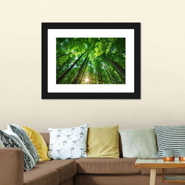 Long Trees In Forest Canvas Wall Art-3 Horizontal-Gallery Wrap-25&quot; x 16&quot;-Tiaracle