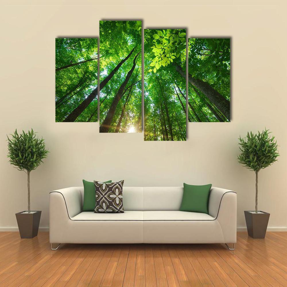 Long Trees In Forest Canvas Wall Art-4 Pop-Gallery Wrap-50&quot; x 32&quot;-Tiaracle