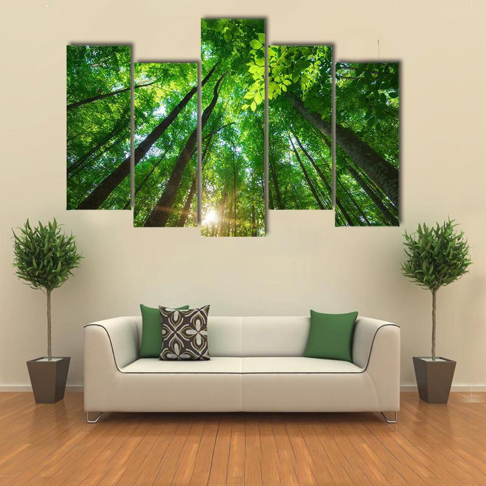 Long Trees In Forest Canvas Wall Art-5 Pop-Gallery Wrap-47&quot; x 32&quot;-Tiaracle