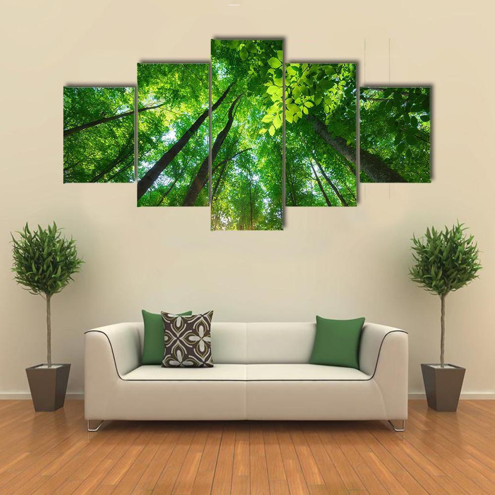 Long Trees In Forest Canvas Wall Art-1 Piece-Gallery Wrap-48" x 32"-Tiaracle