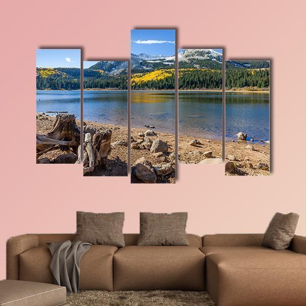 Lost Lake Along Kebler Pass Canvas Wall Art-5 Pop-Gallery Wrap-47" x 32"-Tiaracle