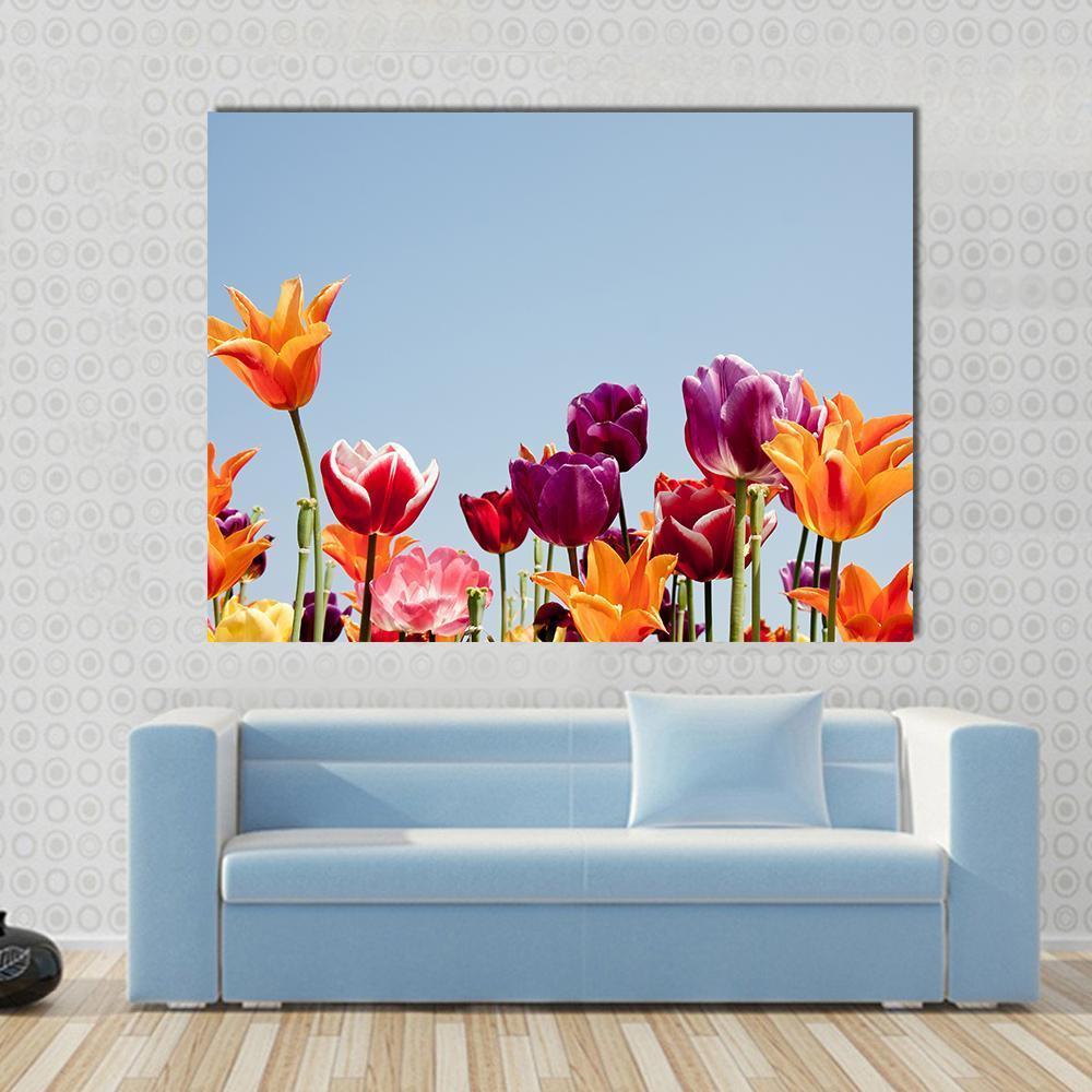 Multicolor Tulips Canvas Wall Art in orange, blue and multicolor, single panel hung on a wall