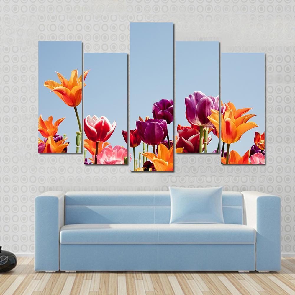 Multicolor Tulips Canvas Wall Art-5 Pop-Gallery Wrap-47" x 32"-Tiaracle