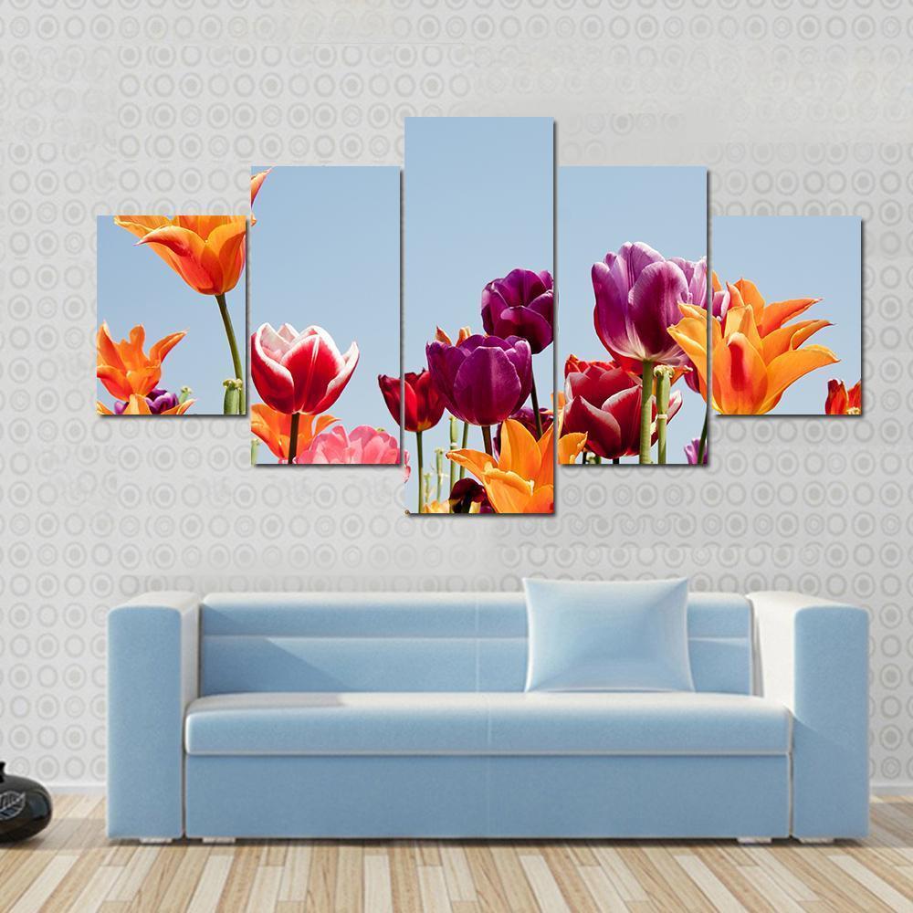 Multicolor Tulips Canvas Wall Art-5 Star-Gallery Wrap-62" x 32"-Tiaracle