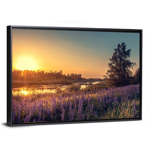 Lupines At Sunset Canvas Wall Art-3 Horizontal-Gallery Wrap-25" x 16"-Tiaracle