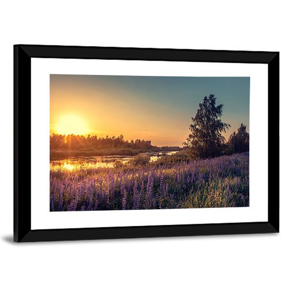 Lupines At Sunset Canvas Wall Art-3 Horizontal-Gallery Wrap-25" x 16"-Tiaracle