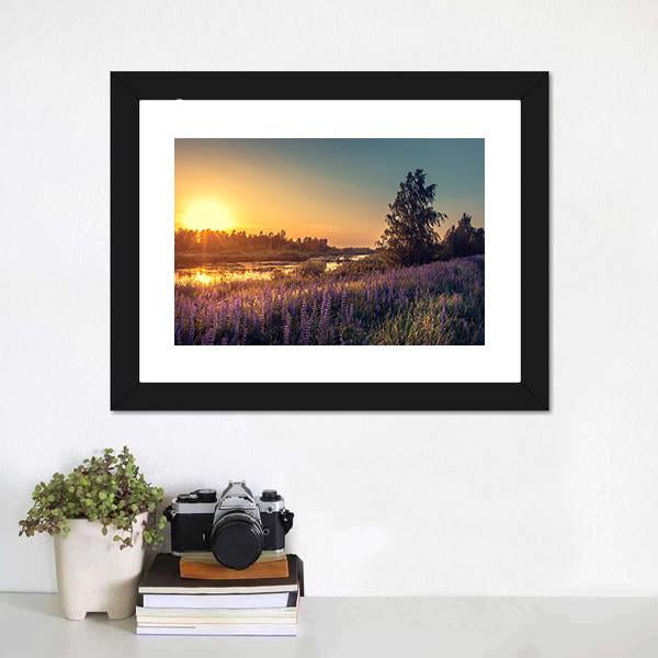 Lupines At Sunset Canvas Wall Art-1 Piece-Framed Print-20" x 16"-Tiaracle