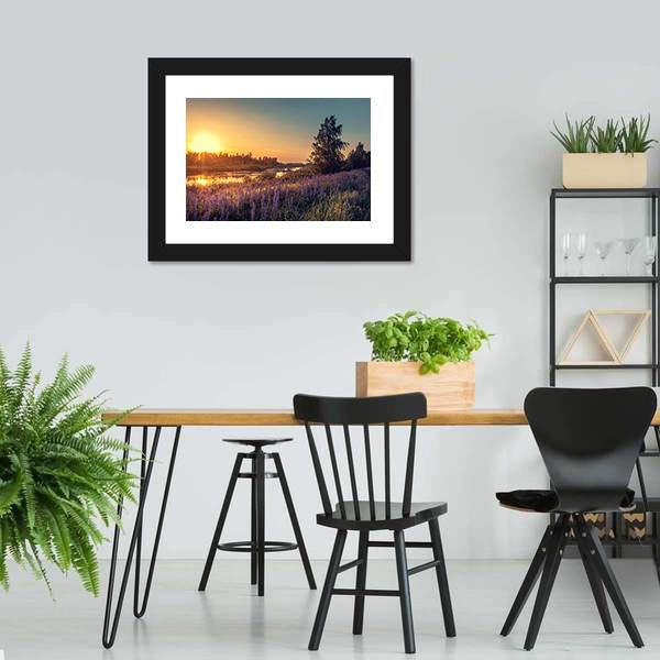 Lupines At Sunset Canvas Wall Art-3 Horizontal-Gallery Wrap-25" x 16"-Tiaracle