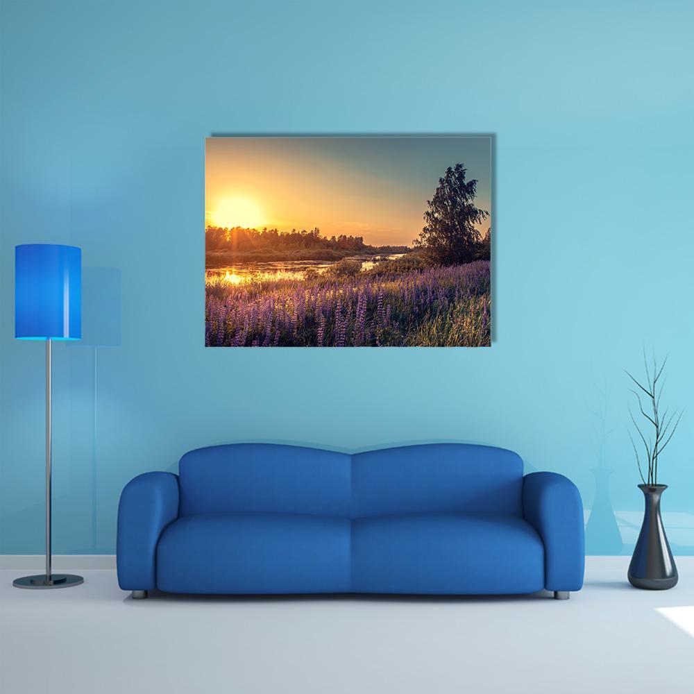 Lupines At Sunset Canvas Wall Art-1 Piece-Gallery Wrap-48" x 32"-Tiaracle