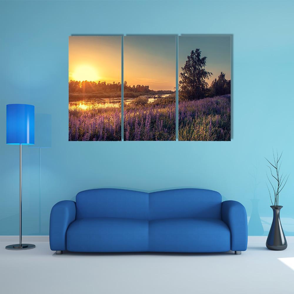Lupines At Sunset Canvas Wall Art-3 Horizontal-Gallery Wrap-37" x 24"-Tiaracle