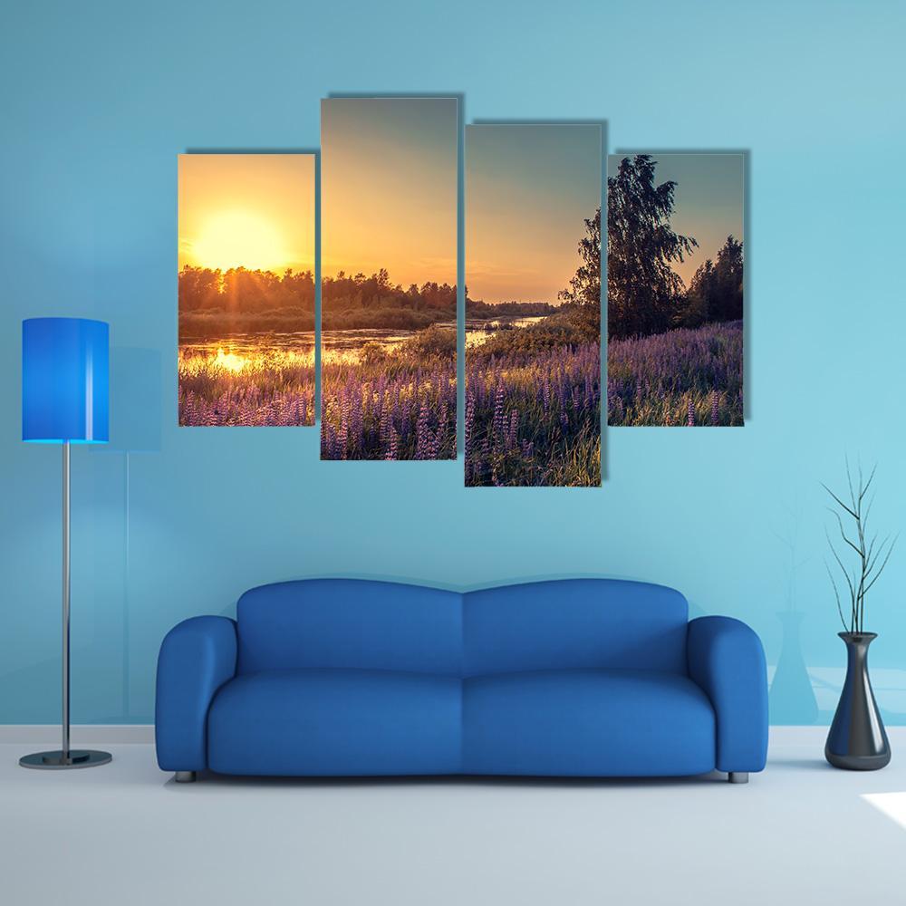 Lupines At Sunset Canvas Wall Art-4 Pop-Gallery Wrap-50" x 32"-Tiaracle