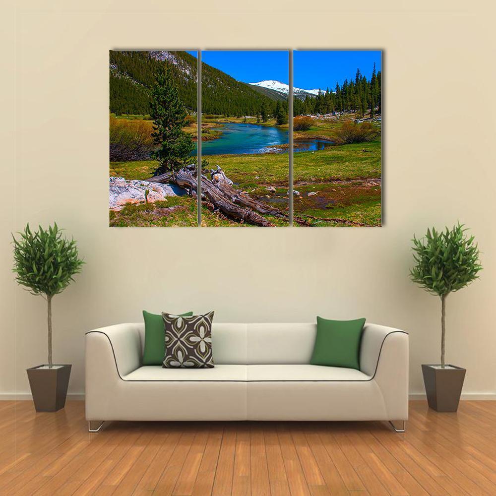 Lyell Fork Tuolumne River Canvas Wall Art-3 Horizontal-Gallery Wrap-37" x 24"-Tiaracle