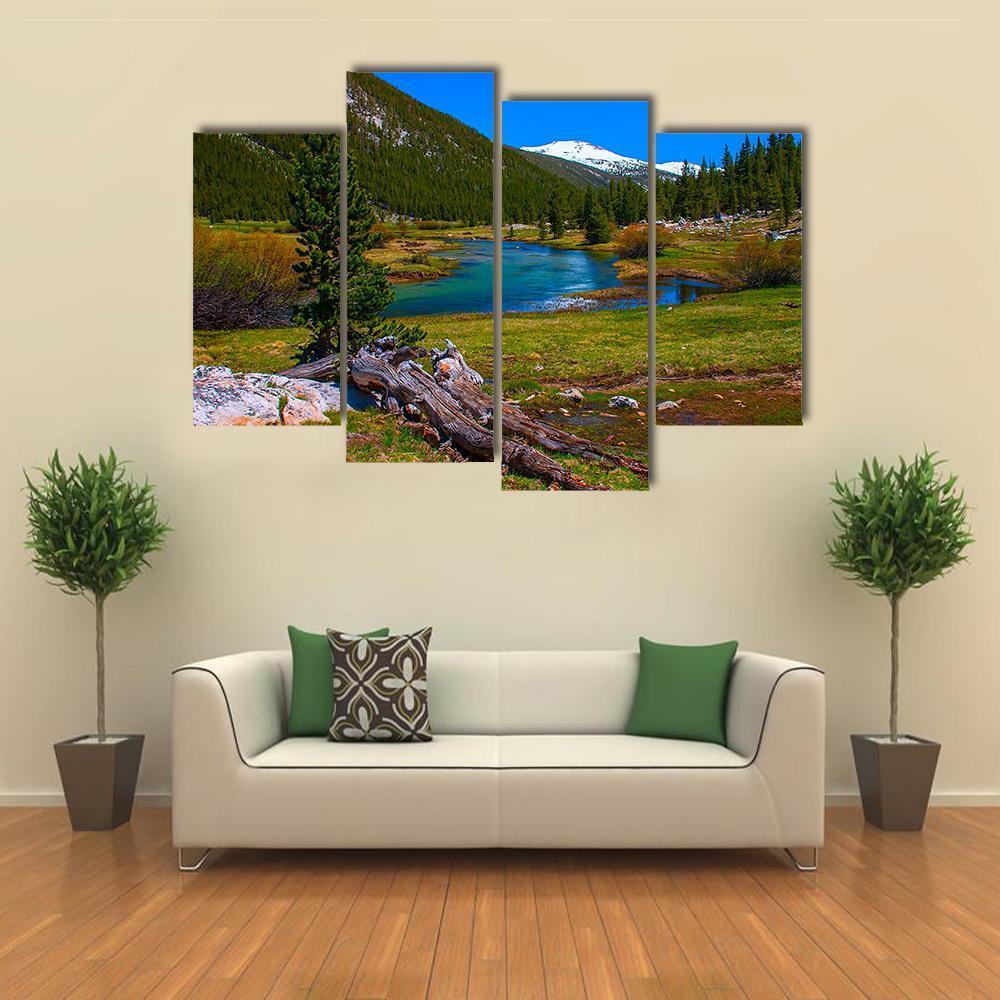 Lyell Fork Tuolumne River Canvas Wall Art-4 Pop-Gallery Wrap-50" x 32"-Tiaracle