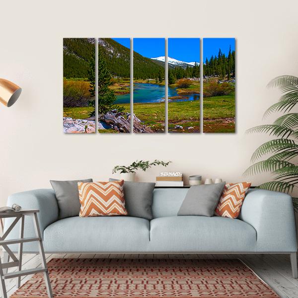 Lyell Fork Tuolumne River Canvas Wall Art-5 Horizontal-Gallery Wrap-22" x 12"-Tiaracle