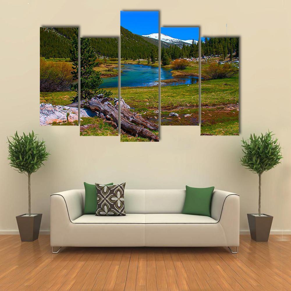 Lyell Fork Tuolumne River Canvas Wall Art-5 Pop-Gallery Wrap-47" x 32"-Tiaracle