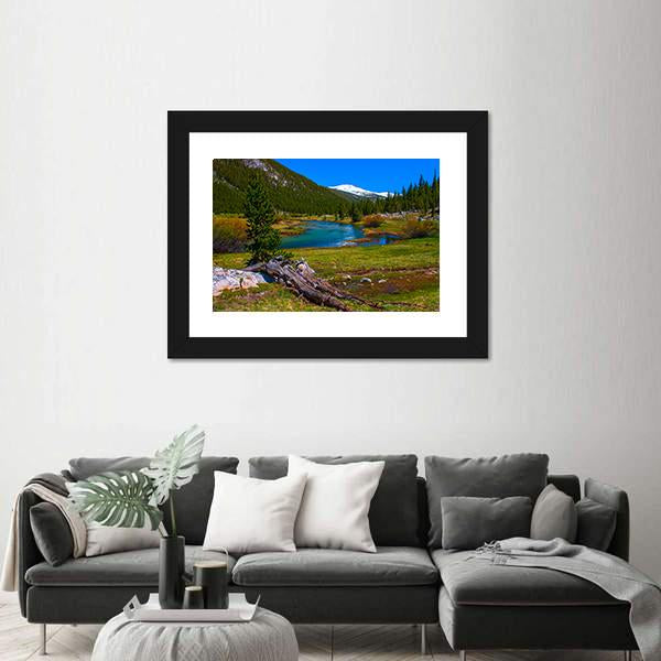 Lyell Fork Tuolumne River Canvas Wall Art-1 Piece-Framed Print-20" x 16"-Tiaracle