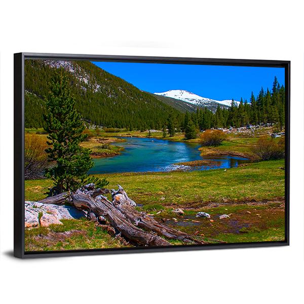 Lyell Fork Tuolumne River Panoramic Canvas Wall Art-1 Piece-36" x 12"-Tiaracle