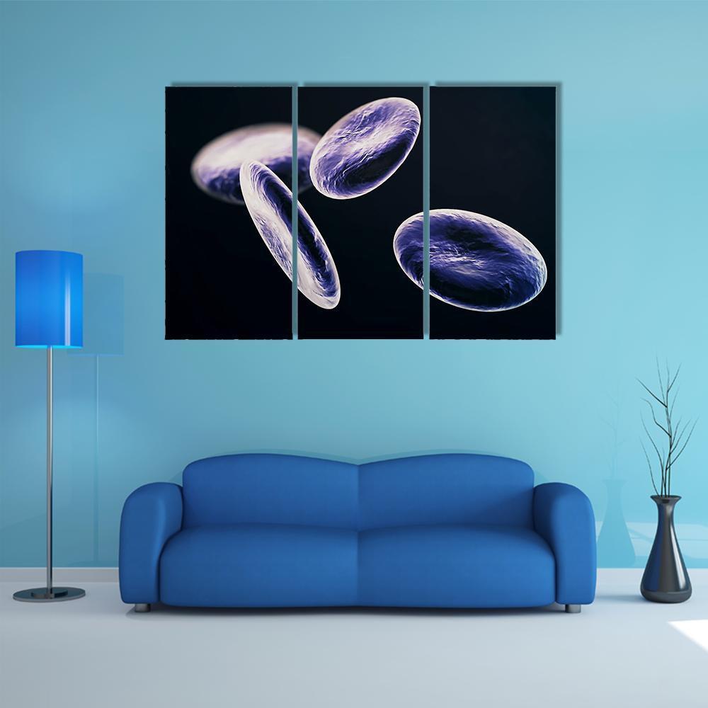 White Blood Cells Canvas Wall Art-3 Horizontal-Gallery Wrap-37" x 24"-Tiaracle