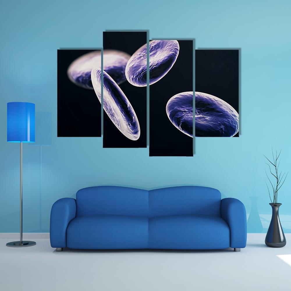 White Blood Cells Canvas Wall Art-4 Pop-Gallery Wrap-50" x 32"-Tiaracle