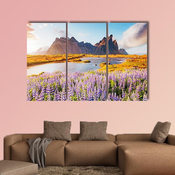 Majestic Lupine Flowers Canvas Wall Art-3 Horizontal-Gallery Wrap-25" x 16"-Tiaracle