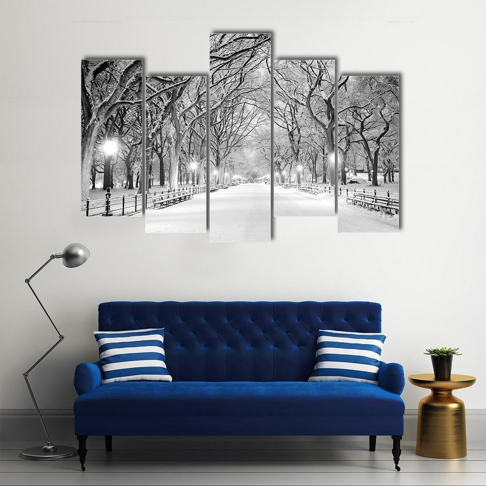 NY Central Park In Winter Canvas Wall Art-5 Pop-Gallery Wrap-47" x 32"-Tiaracle