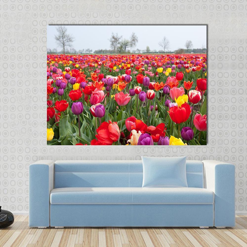 Colorful Tulip Field Canvas Wall Art in red, green and multicolor, single panel hung on a wall