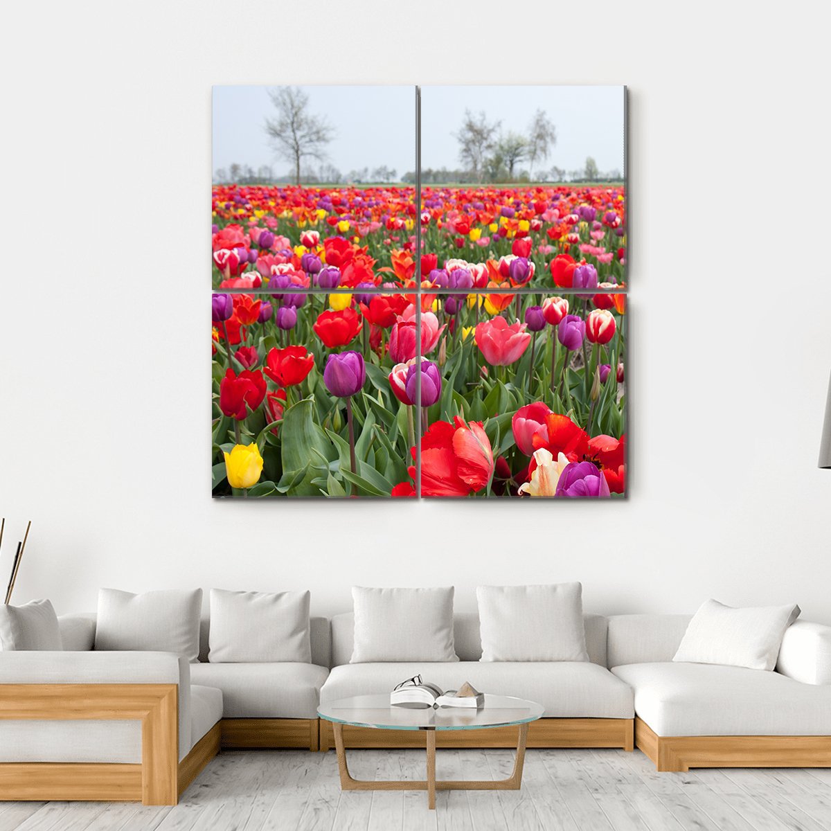 Coloured Tulips Canvas Wall Art-4 Square-Gallery Wrap-17" x 17"-Tiaracle
