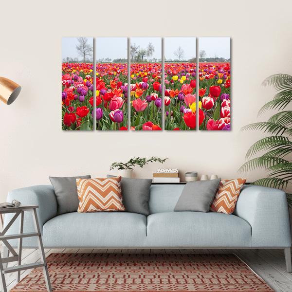 Coloured Tulips Canvas Wall Art-5 Horizontal-Gallery Wrap-22" x 12"-Tiaracle