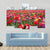 Coloured Tulips Canvas Wall Art-5 Pop-Gallery Wrap-47" x 32"-Tiaracle