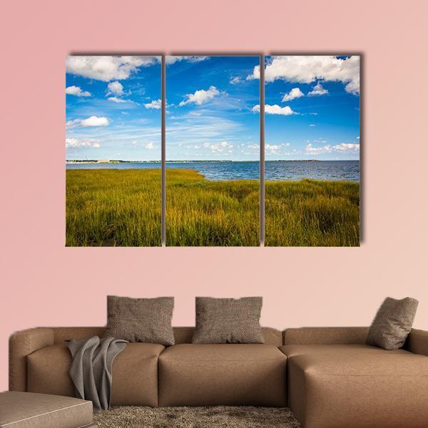 Marsh Grasses With Lake Canvas Wall Art-5 Pop-Gallery Wrap-47" x 32"-Tiaracle