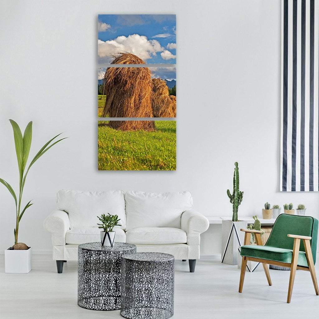 Meadow Field Poland Vertical Canvas Wall Art-3 Vertical-Gallery Wrap-12" x 25"-Tiaracle